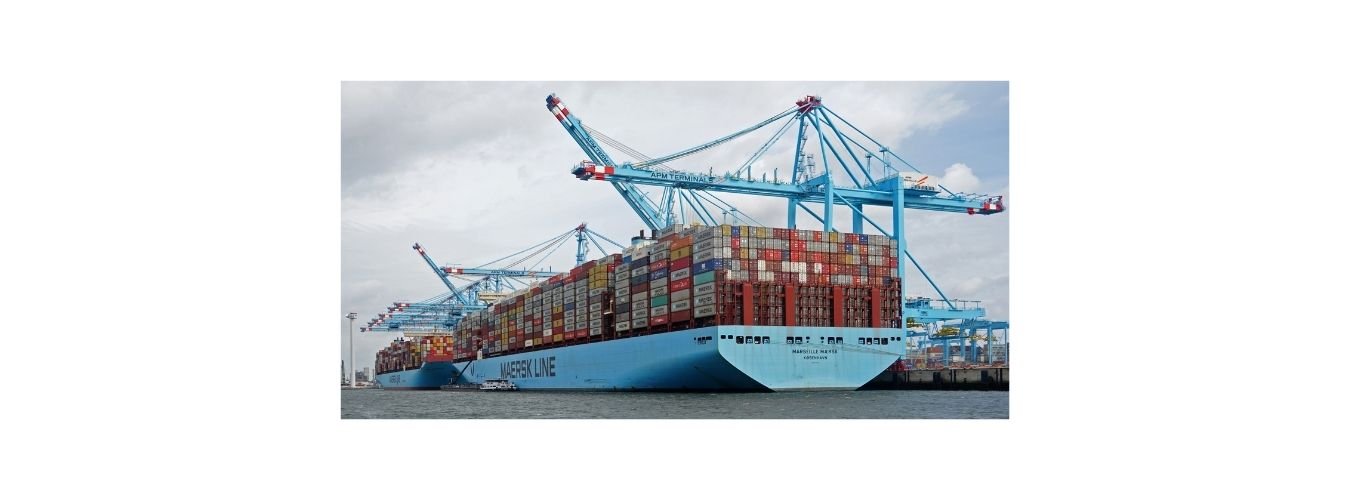 Gambia CTN certificate online fast CTN registration trusted Gambia CTN agent cargo tracking note shipping compliance